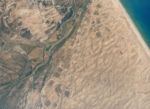 Archive record 365e: South of Nebi Junis, sand dunes