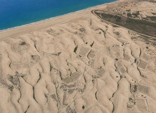 Archive record 365h: South of Nebi Junis, sand dunes