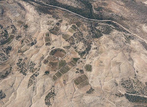 Archive record 365i: South of Nebi Junis, sand dunes