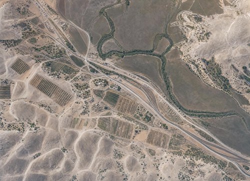 Archive record 373l: East of Nebi Junis