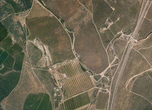 Archive record 397: East of station Wadi es-Sarar
