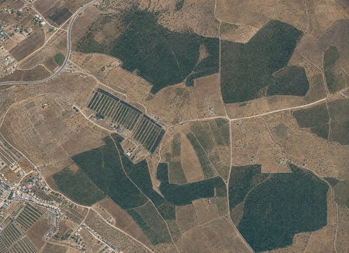 Archive record 398h: station Wadi es-Sarar