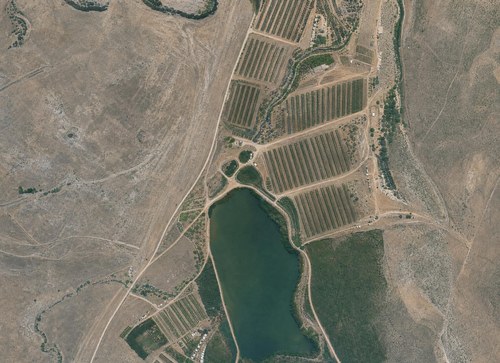 Archive record 398i: station Wadi es-Sarar