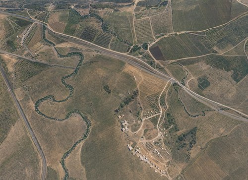 Archive record 398w: station Wadi es-Sarar