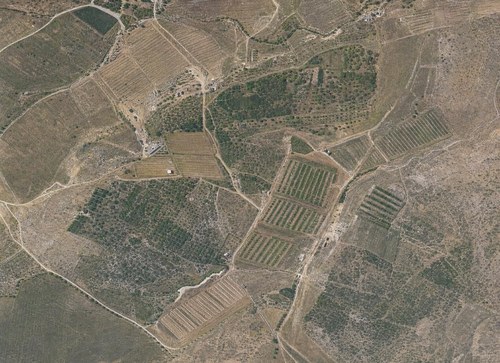 Archive record 399a: station Wadi es-Sarar