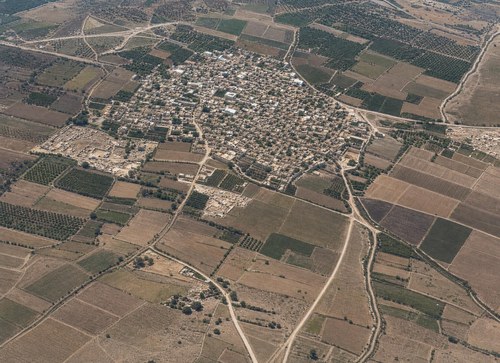 Archive record 433: el-Medschdel, 4 km east of Askalan