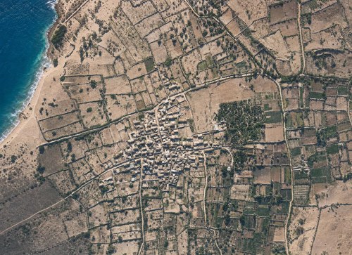 Archive record 442: ed-Dschora, village near the ruins of Ashkelon by the sea (format: 8 × 10)