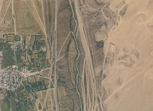 Archive record 451: Bet Dscherdscha, 15 km northeast of Gaza with 2 km western surroundings, sand dunes