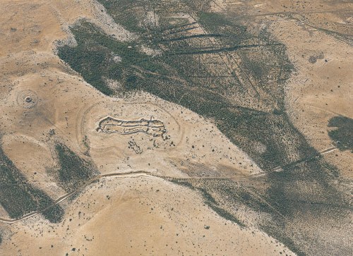 Archive record 494b: sand dunes with Riffelmarken near el-Arisch (8 × 10 format)
