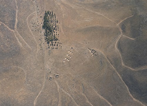 Archive record 494c: sand dunes with Riffelmarken near el-Arisch (8 × 10 format)