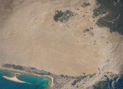 Archive record 494g: sand dunes with Riffelmarken near el-Arisch (8 × 10 format)