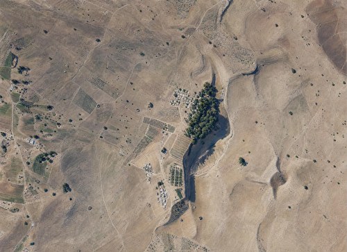 Archive record 494h: sand dunes with Riffelmarken near el-Arisch (8 × 10 format)