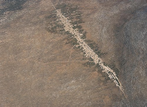 Archive record 495b: camel caravan in the desert, ships at sea, flamingos in flight (8 × 10 format)