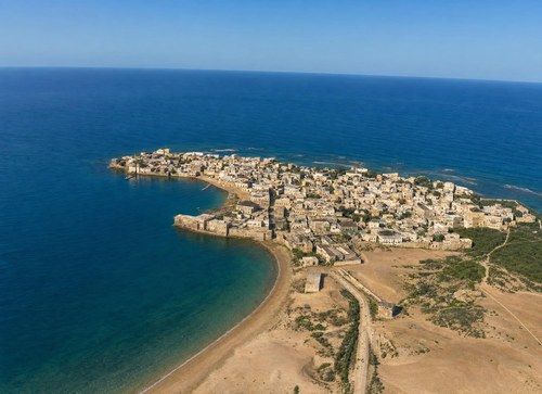 Archive record 4b: Tyre: overview from the north (negative)