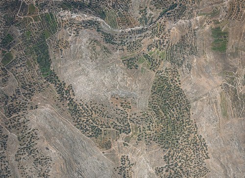 Archive record 539: West of Khirbet Abu-Felah (3 km southeast of Sindschil)