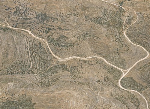 Archive record 556: Southern continuation of no. 544, north of En Sinja, Jerusalem road, Wadi en-Nimr, similar to no. 552