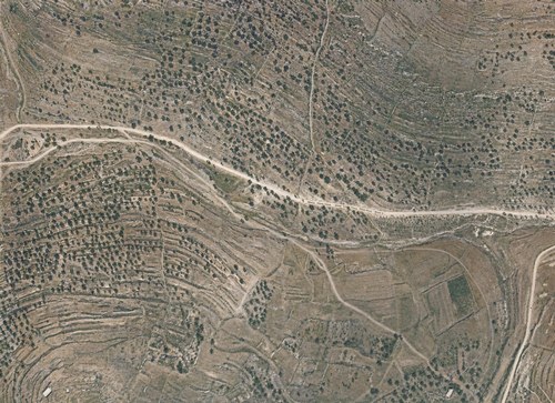 Archive record 557: Northeast of En Sinja, Jerusalem road
