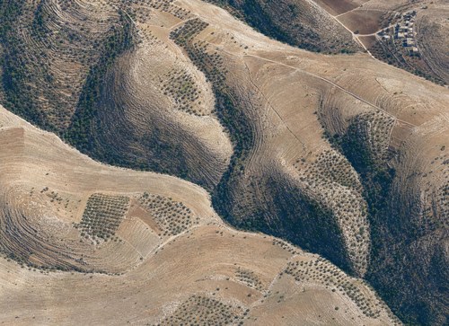 Archive record 631: East of Betunja (3 km southwest of el-Bire)