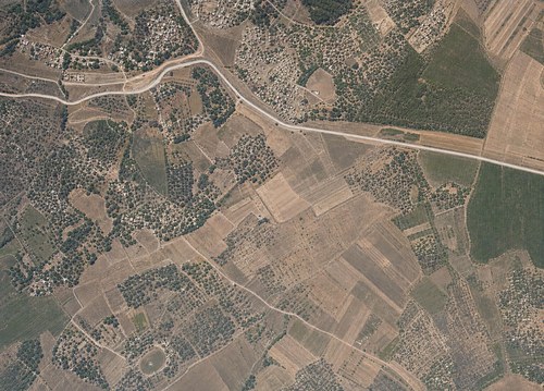 Archive record 724h: Amwas-Latrun and surroundings (in chronological order): south of Latrun