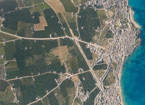 Archive record 86a: Jaffa, old city, southern quarter (vertical photograph)