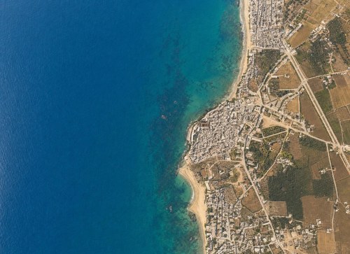 Archive record 86c: Jaffa