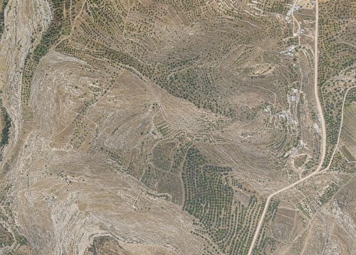 Archive record 912a: Tantur, Bethlehem road, western slope of Wadi ed-Daschisch, similar to no. 911