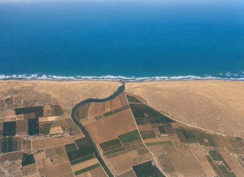 Archive record 93e: North of Jaffa