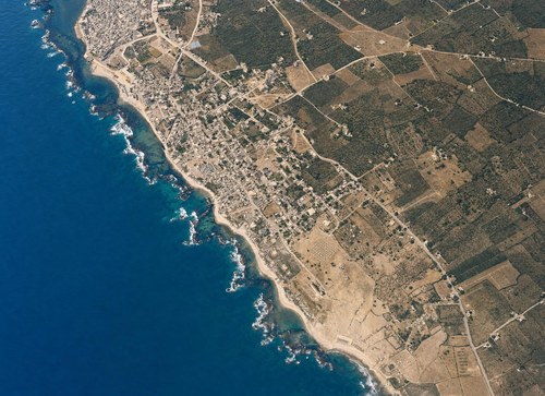 Archive record 94: Jaffa, southern part, orchards