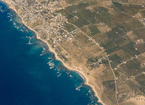 Archive record 94a: Jaffa, southern part, orchards
