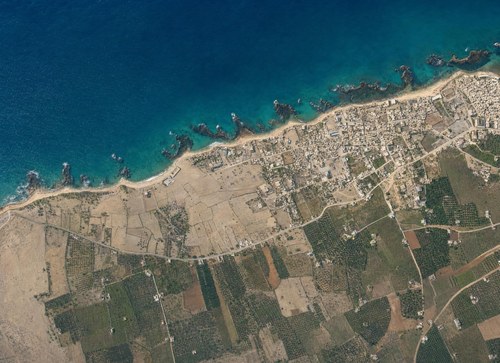 Archive record 94b: Jaffa, southern part, orchards