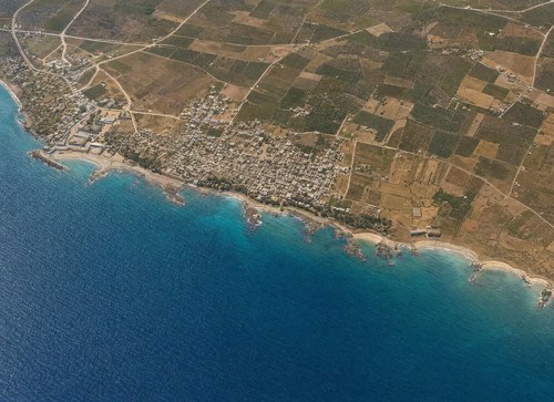 Archive record 94c: Jaffa, southern part, orchards