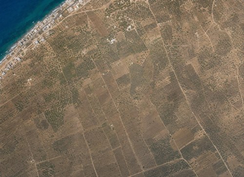 Archive record 94d: Jaffa, southern part, orchards
