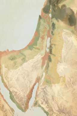  A hybrid historic landcover map showing plausible zones of ancient agriculture, pastureland, wild forest, and desert — overlaid softly on the topography. Earthy, faded tones evoking ancient human shaping of the land.