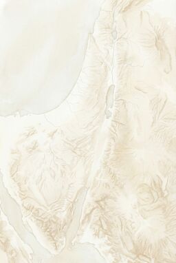  A map where the land seems brushed onto the surface with the lightest feather touch — rivers hinted by faint wet glimmers, mountains barely a lift in the surface texture.