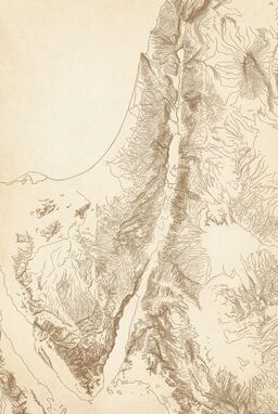  A flat, 2D map where the entire terrain is built from repeating contour lines like a topographic "wave pattern." No elevation shading — only rhythmically spaced lines showing rise and fall.