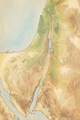  A terrain map where base features are drawn cleanly in ink, then hand-tinted with washes of watercolor (earth greens, pale blues, sandy golds) — land gently glowing with soft vintage life.