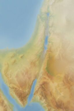  A soft-focus map where the land ever-so-gently lightens or darkens with elevation — as if seen through atmospheric haze — no sharp edges, almost dreamlike clarity. Use realistic colors.