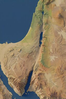  Isometric view of a satellite view of the geography and landcover of all of Israel. Don't include any human features like roads, cities, or agriculture. Just show the natural landscape. Make the colors look like a realistic satellite photo, but also make it look like a videogame isometric style. Don't go for too much detail.