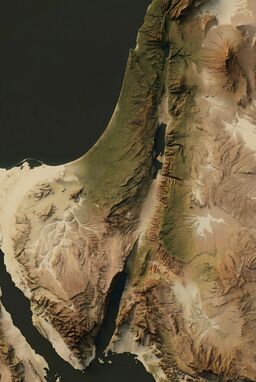  A restrained 3D render using muted earth tones — olive greens, warm browns, pale sands — precise ridges and valleys shaped by light and shadow rather than intense color — subtle and sophisticated.