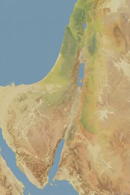  A naturalistic map using only muted ochres, olive greens, dusty blues, and soft browns. Smooth terrain shading, subtle elevation. Modern and understated but deeply geographic.