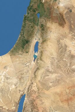  There should be no modern features like agriculture, cities, roads, or salt flats around the Dead Sea. Instead, you should show the area as it would have appeared in its natural state thousands of years ago. Don't reproduce the terrain (mountains, valleys, etc.); just reproduce the land cover. The terrain should appear perfectly flat; I'll be adding in terrain shading later. As it goes south, the climate becomes more arid, so the vegetation should be less dense. The browner areas in the drawing should also have much less vegetation.
