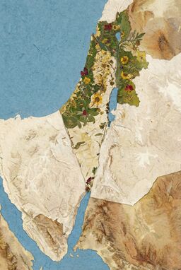  A conceptual map where lush river valleys and fertile zones are made from pressed, dried flowers and leaves — the rest of the desert and hill country left as simple handmade paper textures.