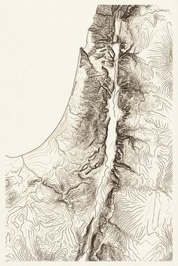  A minimalist but physical map focusing on the central ridge spine of Israel — tight, repetitive lines showing every ridge and valley, like the vertebrae of the land’s body.
