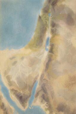  A map where broad ecological zones (desert, valley, hills) are gently indicated with ultra-soft fields of color — desaturated earth tones — with no visible line boundaries.