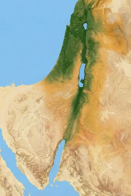  A density-focused map where deep green shows thick vegetation (e.g., Jordan Valley), fading to ochre in semi-arid lands, and pale tan in deserts — an intuitive "lushness" map.