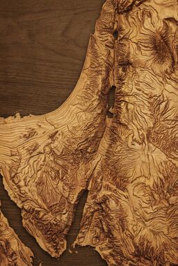  A horizontal-line map where the density and slight warping of lines create the feel of woodgrain — valleys as smooth wide flows, hills as tight knot-like grain spirals.