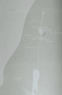 Soft monochrome flat map using gray-green land, pale water, and white labels and linework.