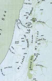 The map uses a flat two-color Carta style with pale blue land, muted green water, green-gray relief shading, and black italic serif labeling.