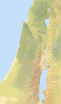 The visible map area is a full-color shaded-relief and landcover basemap with pale blue seas, green-to-yellow landcover, and brown high-relief shading.
