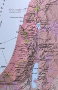 Full-color flat basemap with manual shaded relief, pale blue water, mauve-pink land tints, green cultivated patches, and dark purple-black labeling.